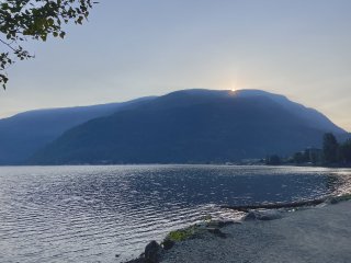img205
