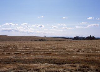 img97